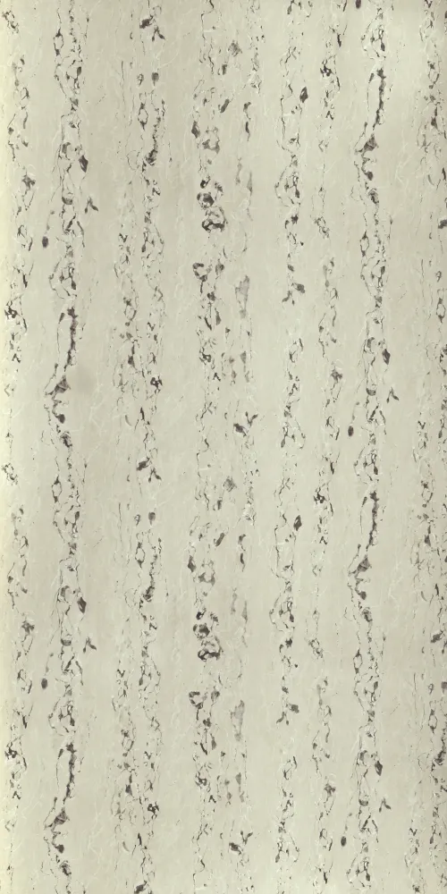 Satvario Cream
